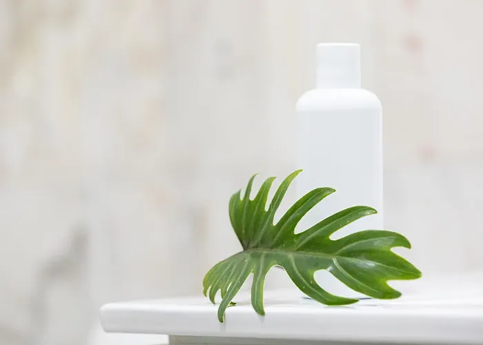 Fly Berlin * 쇼네펠드