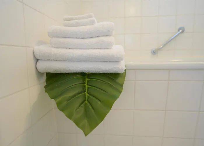 Fly Berlin * 쇼네펠드